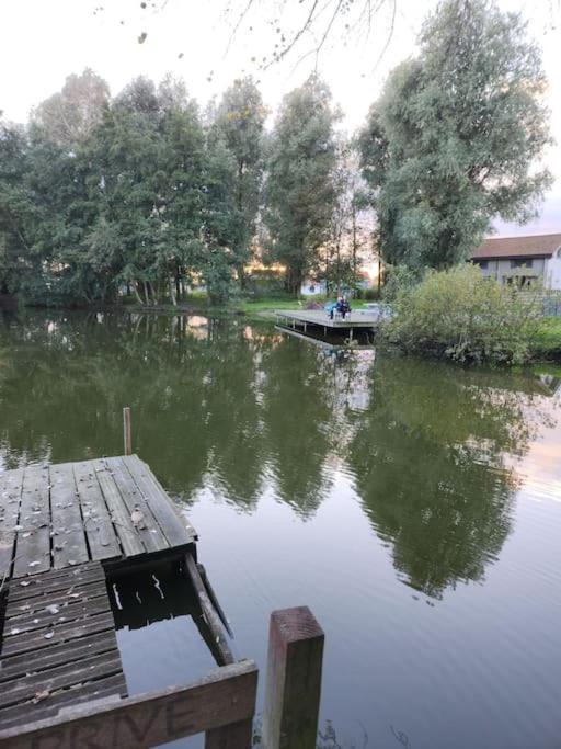 *L'Ecrin De L'Etang* Depaysement Assure Villa Bourbourg Exterior photo